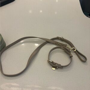 Elegant Tan Dog Collar